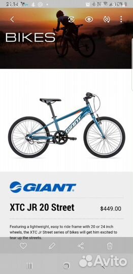 Детский велосипед Giant XTC JR 20