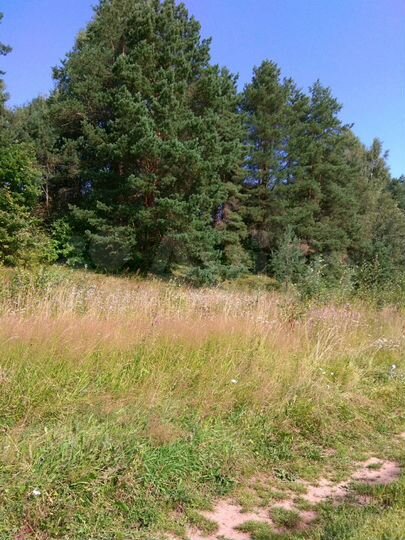 Участок 13,6 сот. (ИЖС)