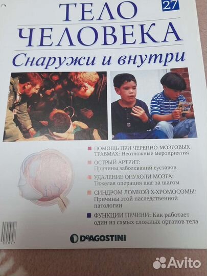 7 журналов тело человека де Агостини