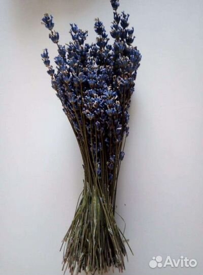 Букетики из сухой лаванды
