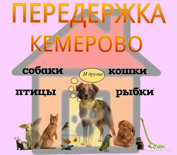 Передержка животных