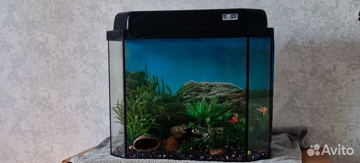 Аквариум