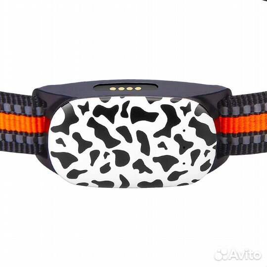 Gps ошейник