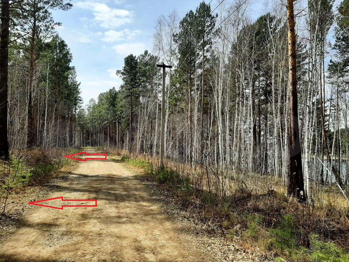 Участок 56,3 сот. (СНТ, ДНП)