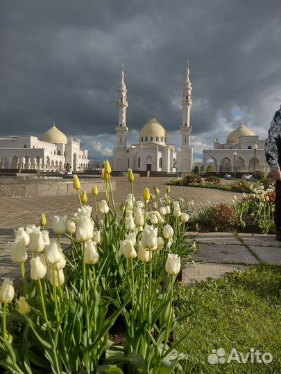 Гид экскурсовод по Казани