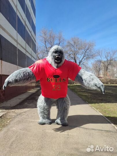 Поздравление Белый Мишка / Аниматор / Чебушастик