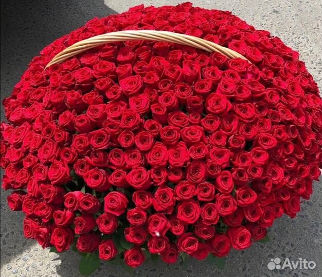 Букет из 301 голландской розы