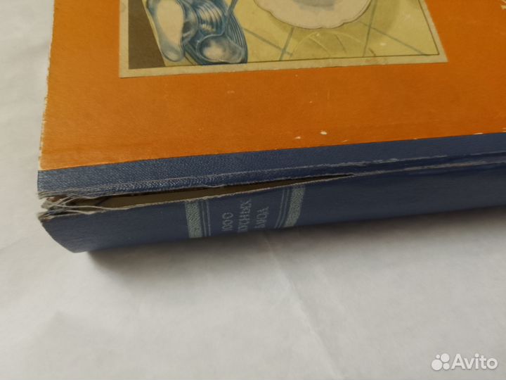 Книга 1000 вкусных блюд