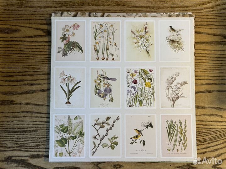 Скрапбукинг бумага (ботаническая тема)