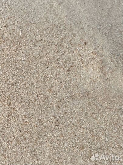 Опилки сосновые