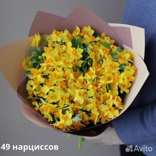 Букет нарциссов с беспл. доставкой
