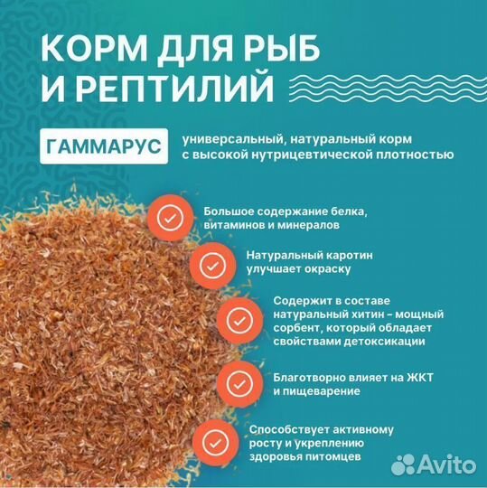 Гаммарус измельченный