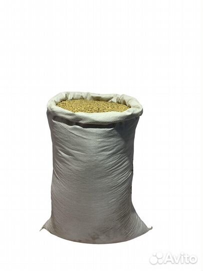 Ячмень кормовой