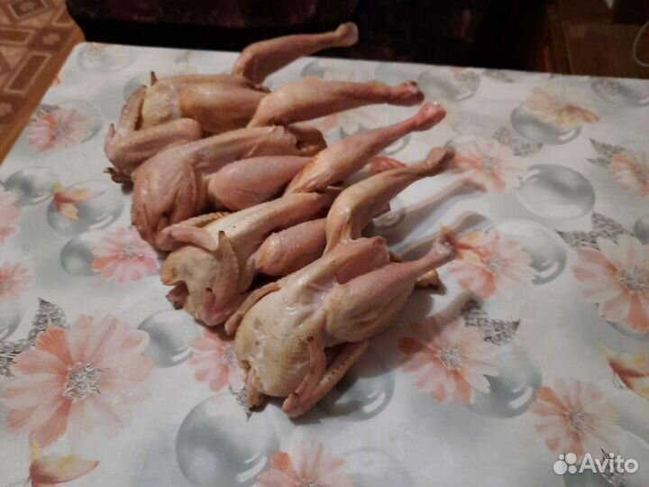 Мясо петуха петушки корнишоны, куры домашние