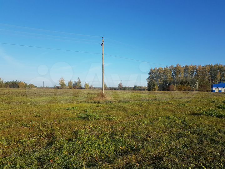 Участок 1,65 га (СНТ, ДНП)