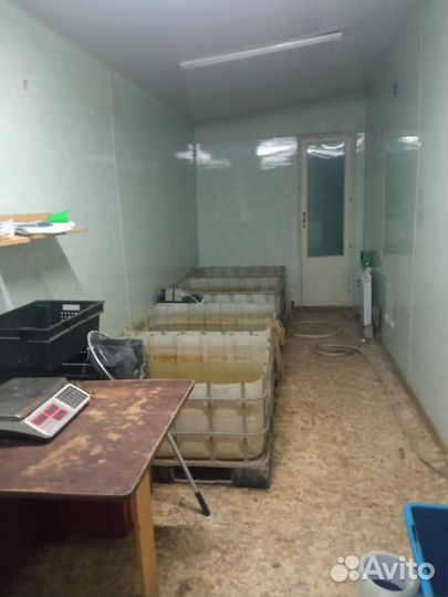 Продам готовый бизнес раки