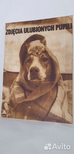 Пиропринтер с полем 90*42