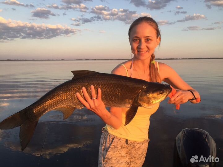 Рыбалка на Волге