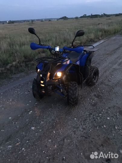 Квадрик венто 125