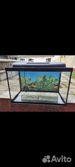Аквариум