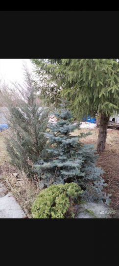 Дача 70 м² на участке 6 сот.