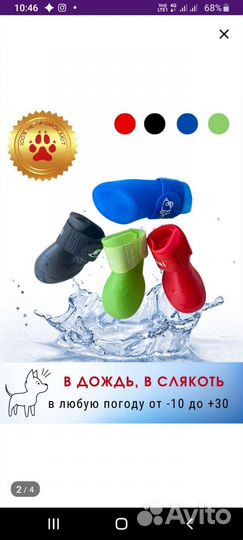 Обувь для собак