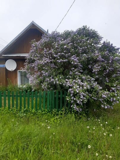 Дом 20 м² на участке 15 сот.