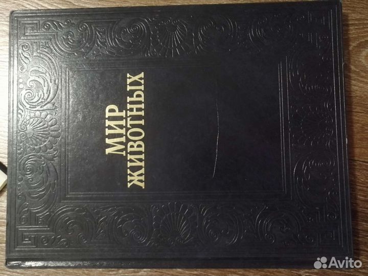 Мир животных птицы