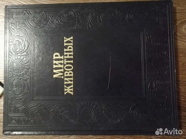 Мир животных птицы