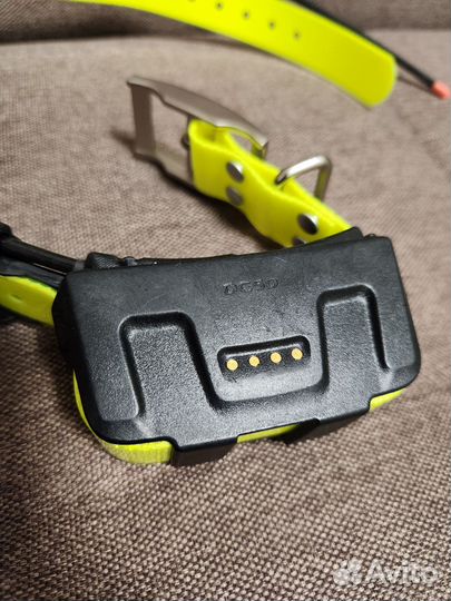 Ошейник Garmin DC50 (русский, лай работает)