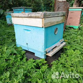 В Электрический испаритель для окуривания пчел (40BT) купить за 1 руб.