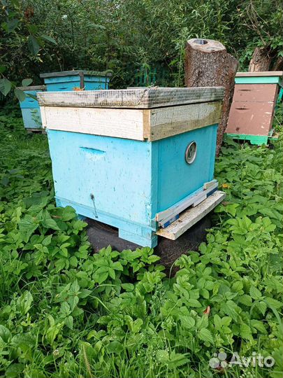 Улей для пчел бу