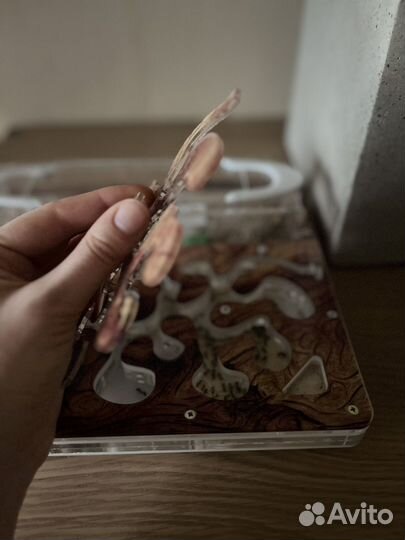 Муравьиная ферма antplanet с муравьями жнецами