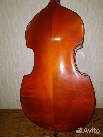 Контрабас Музима