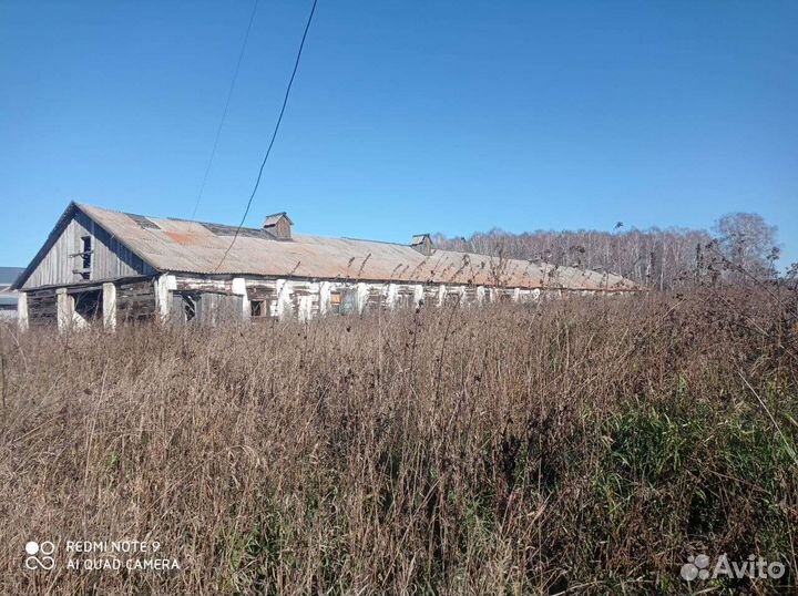 Помещение под содержание с/ х животных