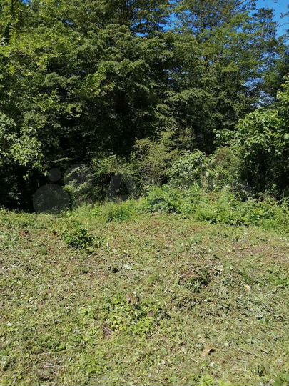 Участок 31 сот. (СНТ, ДНП)