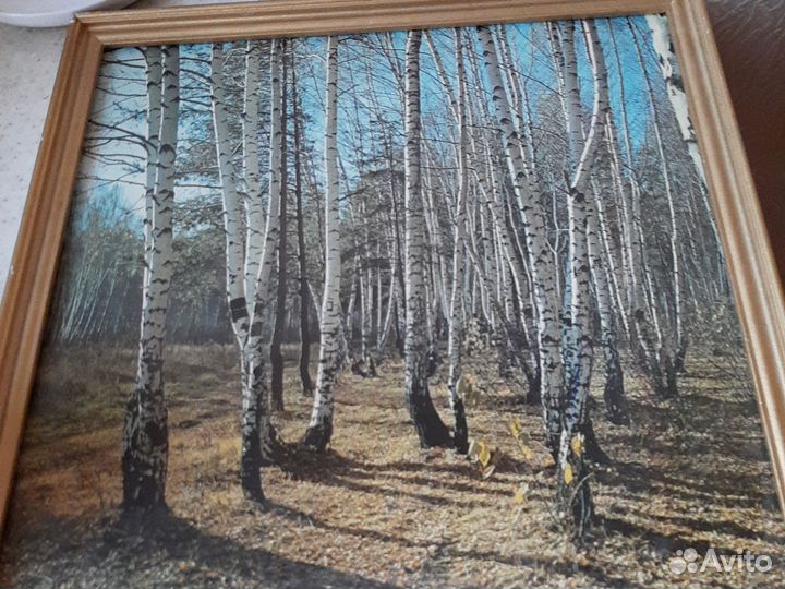 Картина репродукция СССР