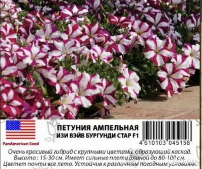 Семена петунии Изи вэйв