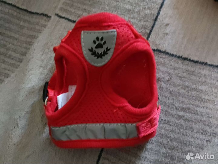 Шлейка для маленькой собаки