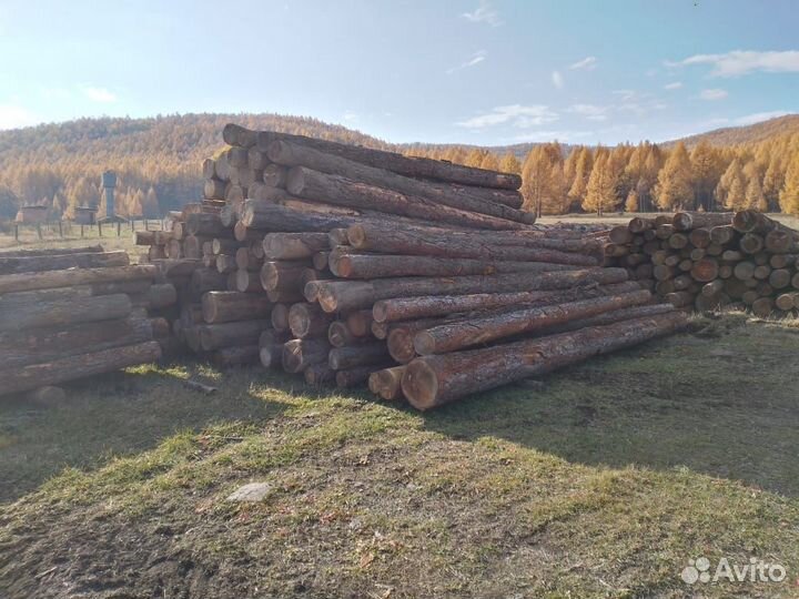 Леса Сибири для строительства