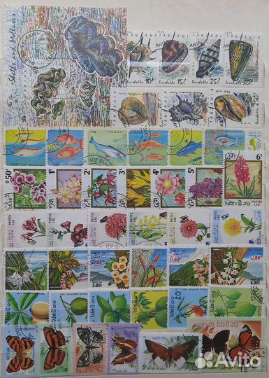 Почтовые марки мира