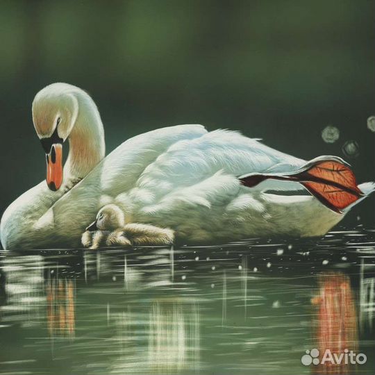 Набор алмазной вышивки в полной выкладке полотна а