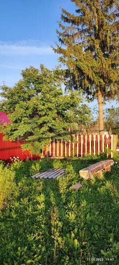 Дом 100 м² на участке 30 сот.