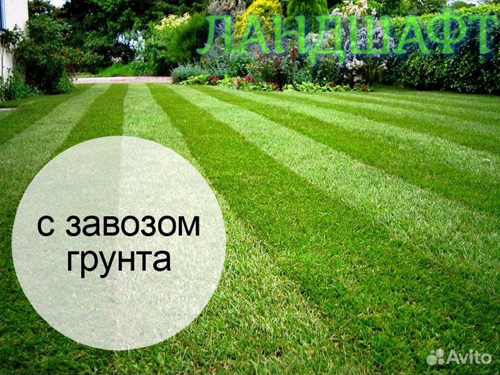 Премиум рулонный газон с укладкой Щелково