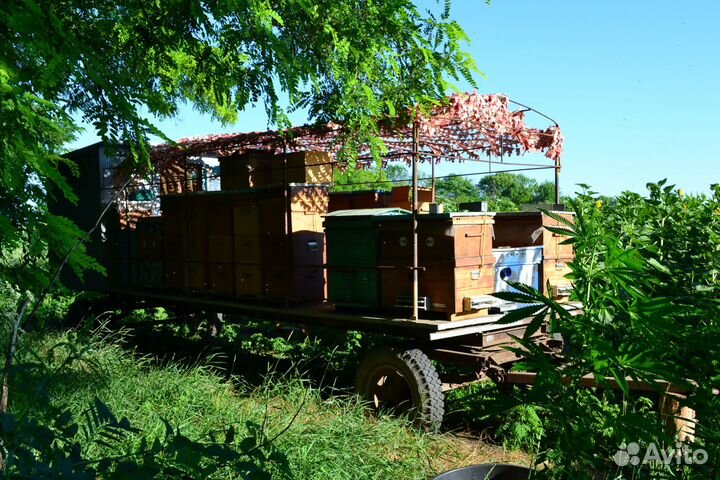 Деревенский мёд