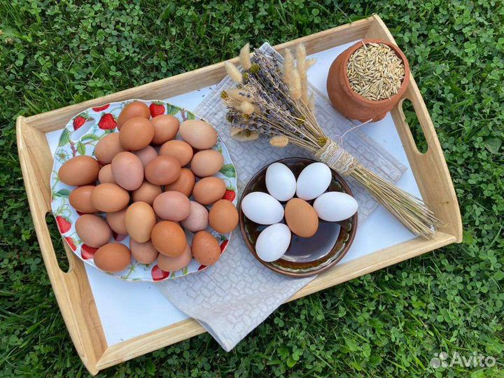 Домашние куриные яйца