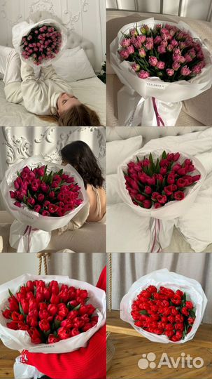 Тюльпаны на 8 марта