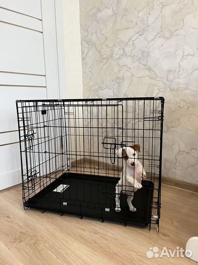 Клетка вольер для собак
