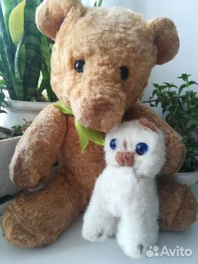 Мишка плюшевый СССР и котенок