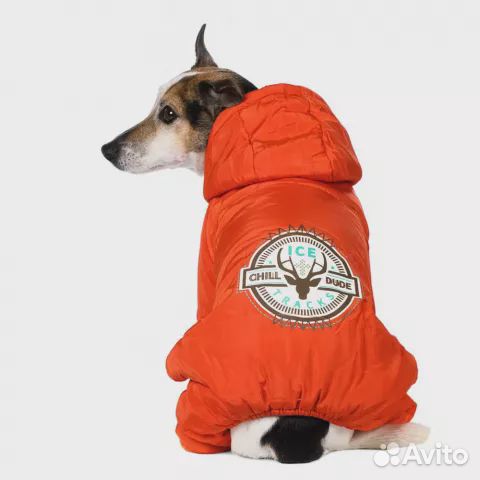 Комбинезон для собаки